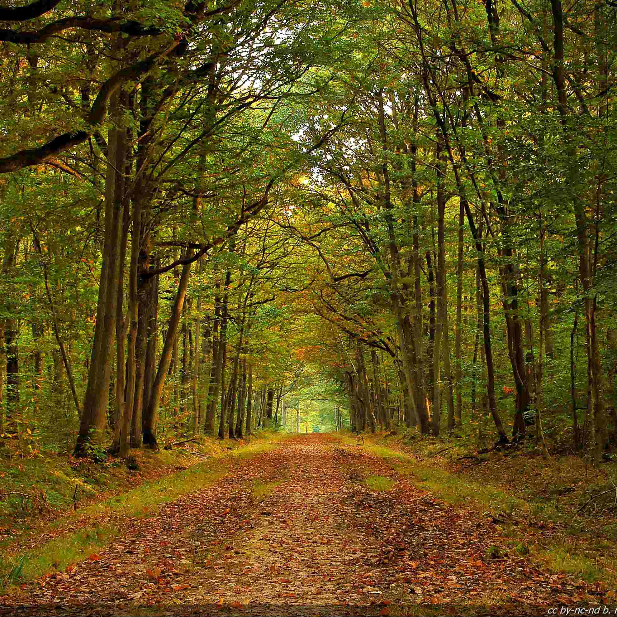 Photo de Pierre DELERM