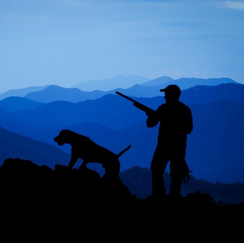 Photo de Michel NOVÉ