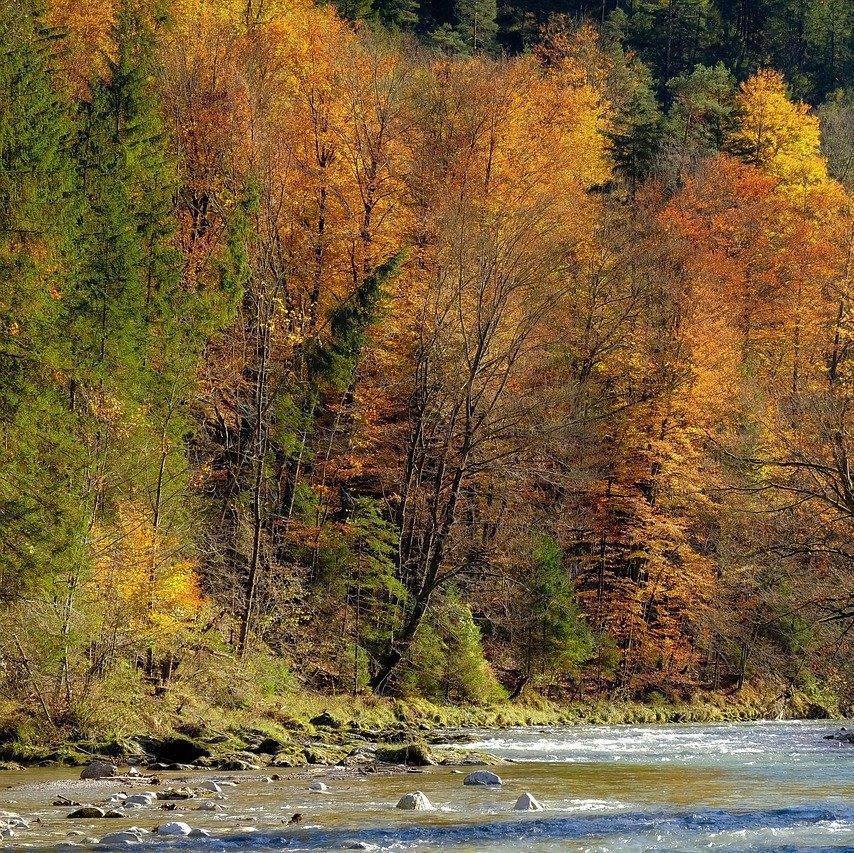 Photo de Gabriel REYTIER