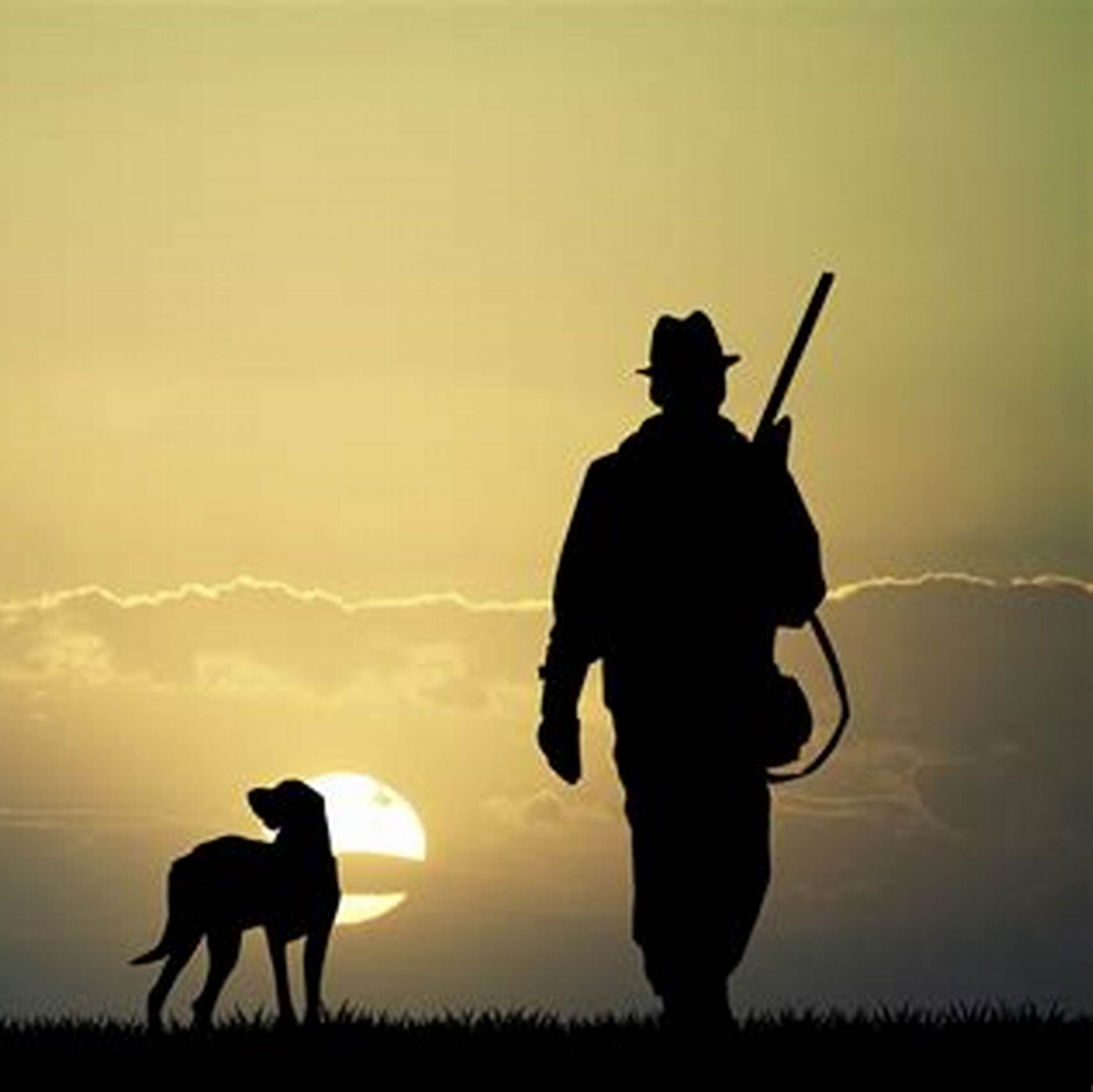 Photo de Raymond BUISSON