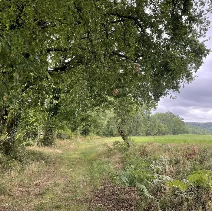 Photo de Louis VERNIER