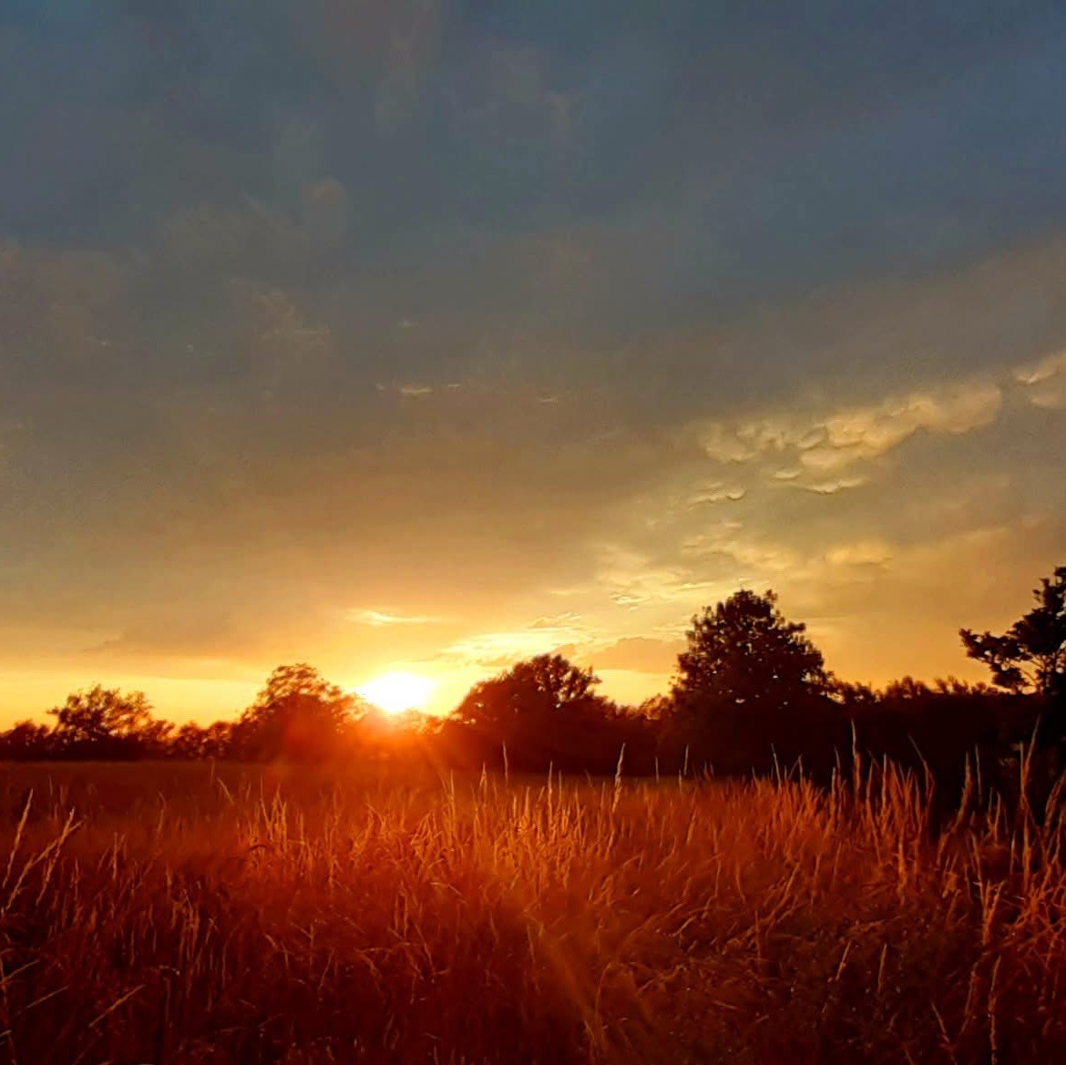 Photo de Stéphane GONDOIS