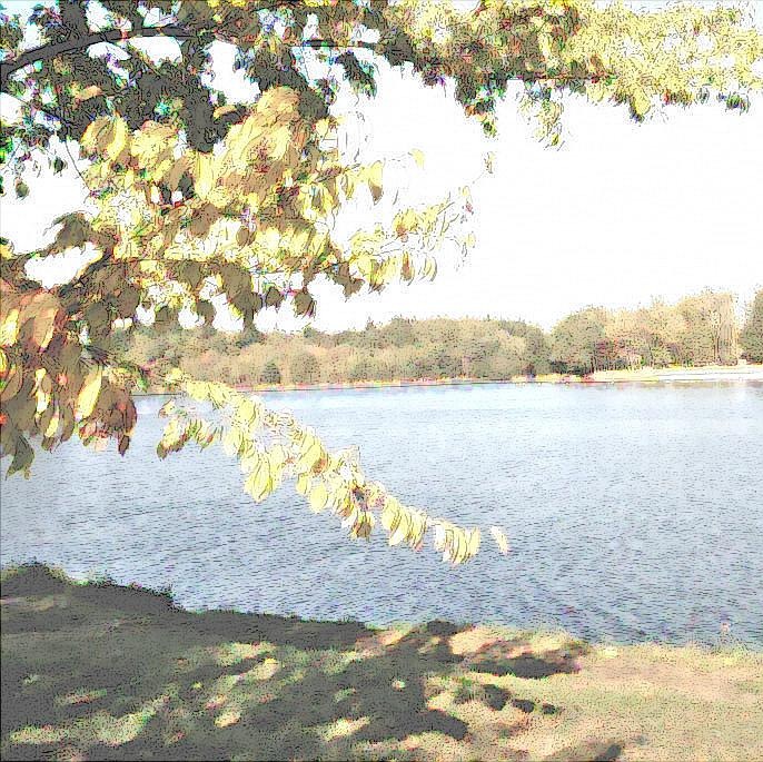 Photo de Jean François BRUN