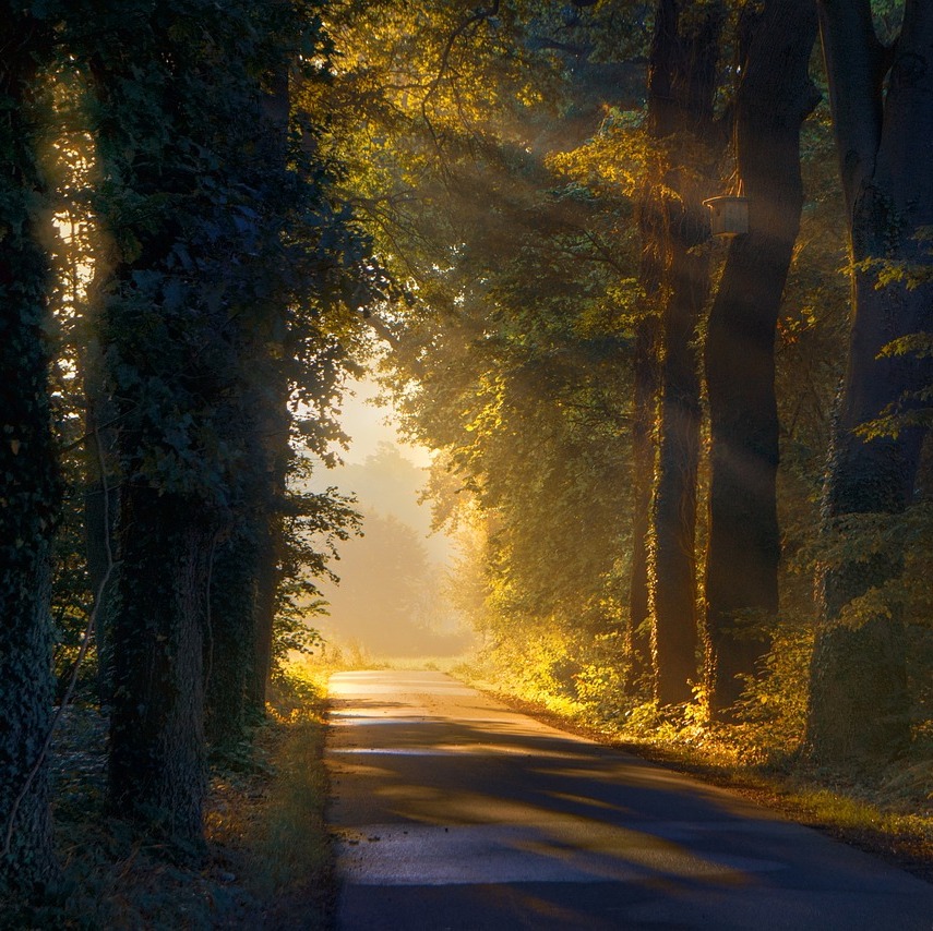 Photo de Maurice TARRADE