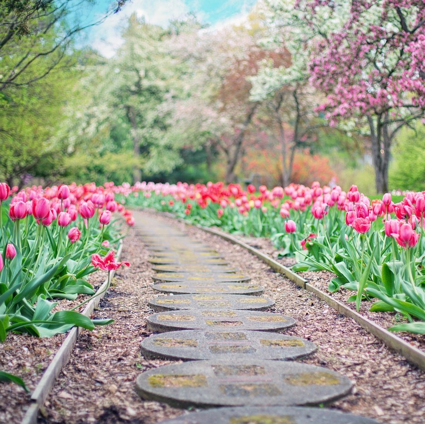 Photo de Marie Louise LEVEQUE