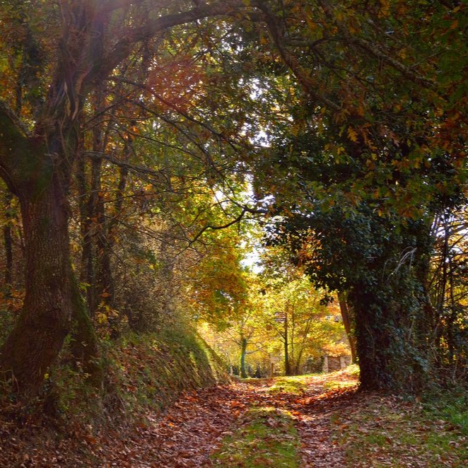 Photo de Jean COUSINOU